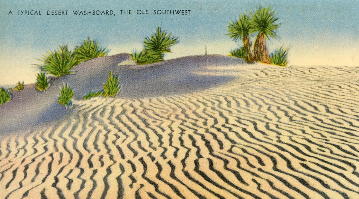 Desert Waves Postcard
