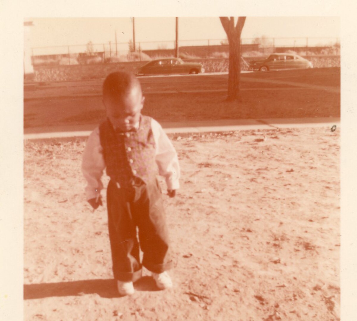 11 - Estine Davis Photo Collection