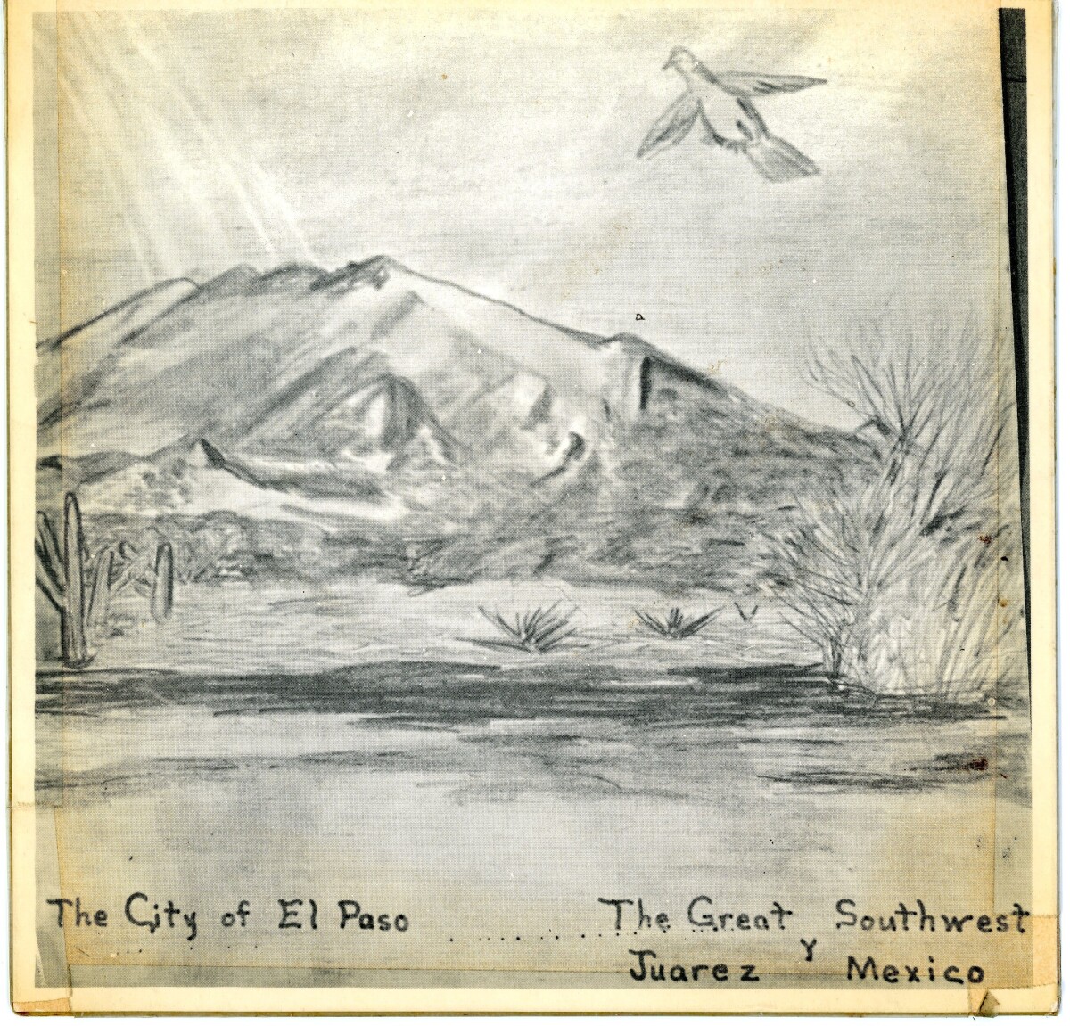 243 - Estine Davis Photo Collection