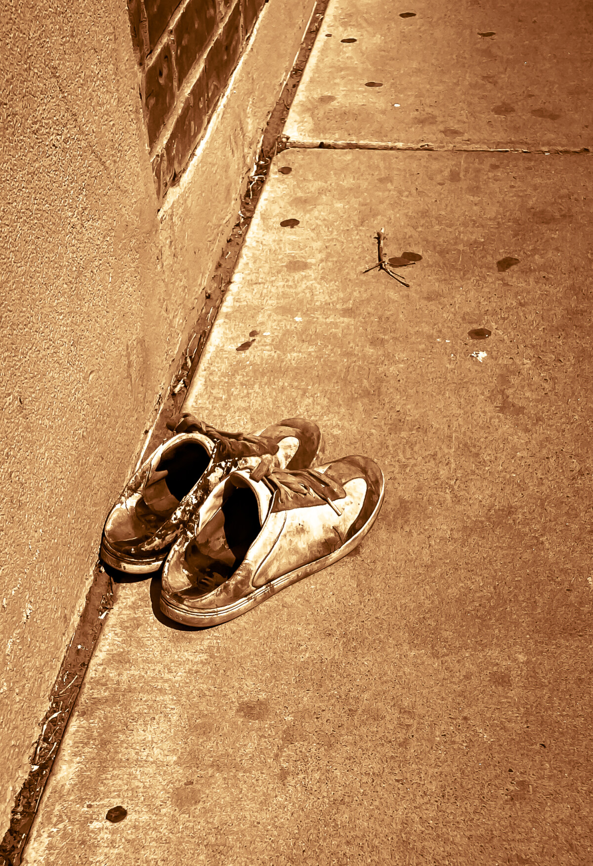 Photography by Jeff Ward